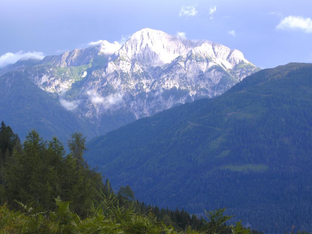 Gasthof Zum Loewen Sankt Jakob im Lesachtal Екстериор снимка