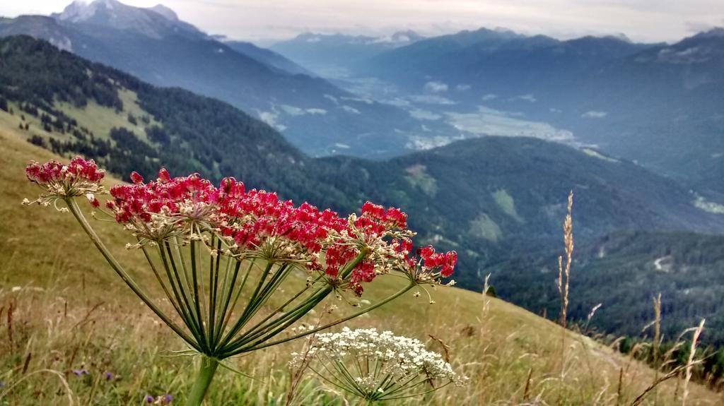 Gasthof Zum Loewen Sankt Jakob im Lesachtal Екстериор снимка