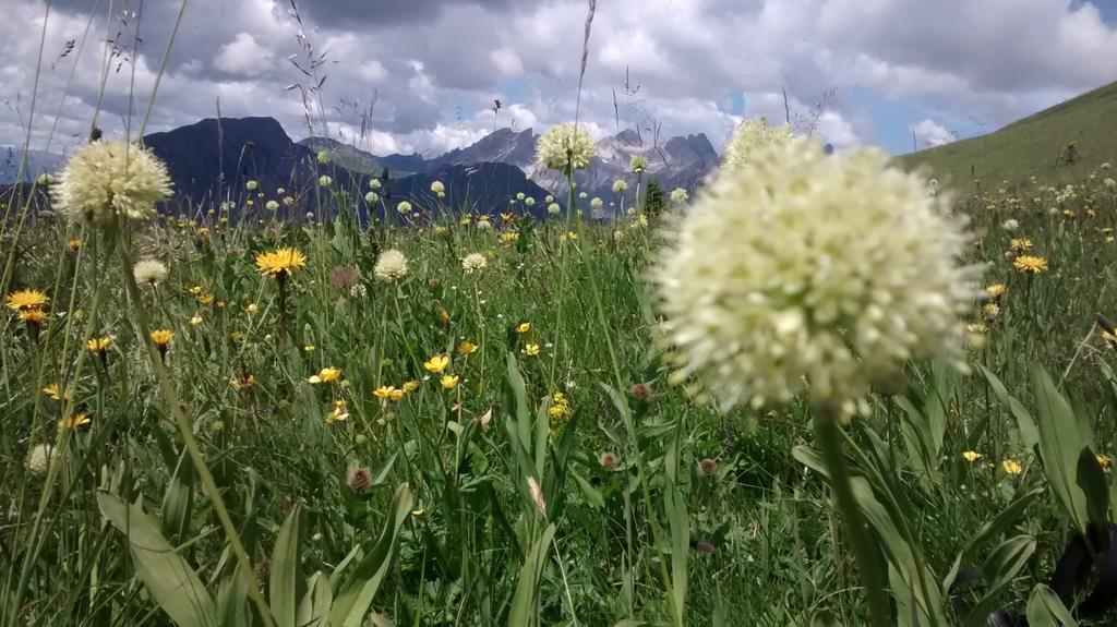 Gasthof Zum Loewen Sankt Jakob im Lesachtal Екстериор снимка