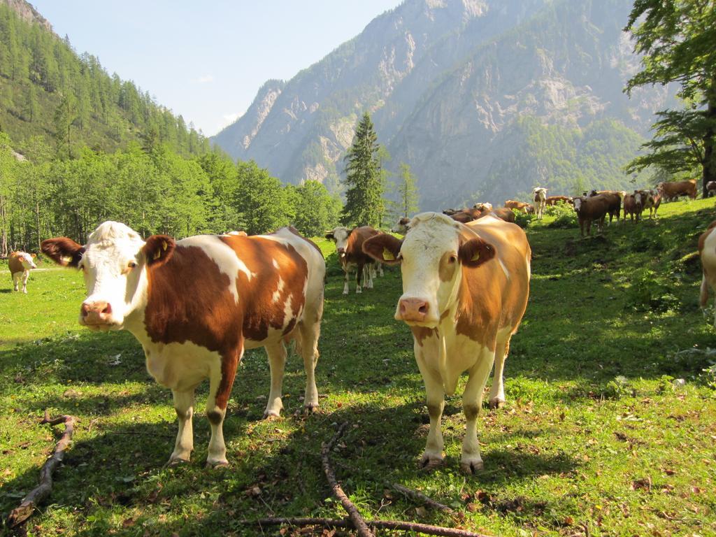 Gasthof Zum Loewen Sankt Jakob im Lesachtal Екстериор снимка