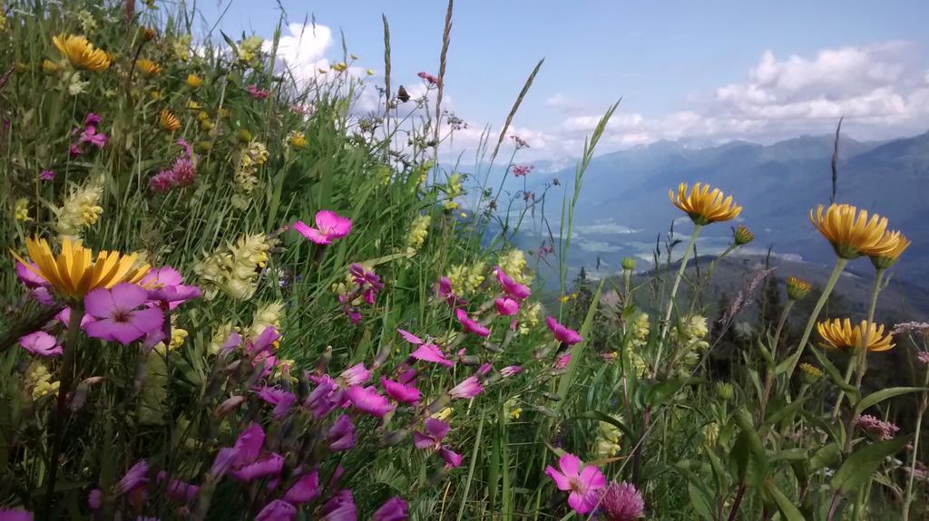 Gasthof Zum Loewen Sankt Jakob im Lesachtal Екстериор снимка